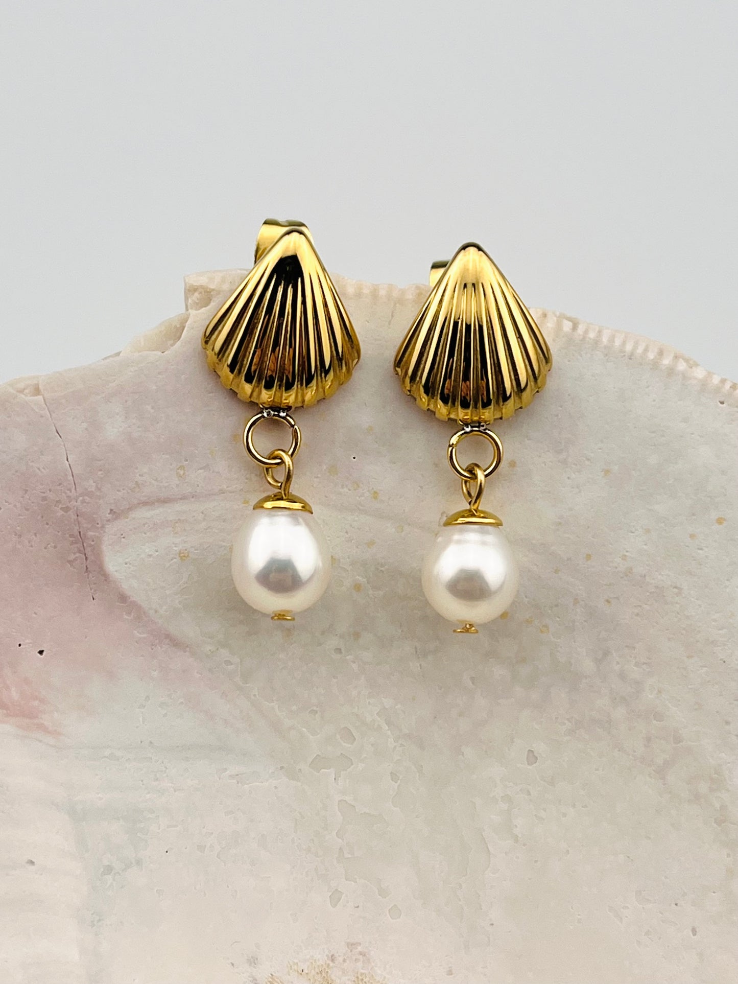 Shell Earrings