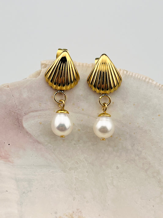 Shell Earrings